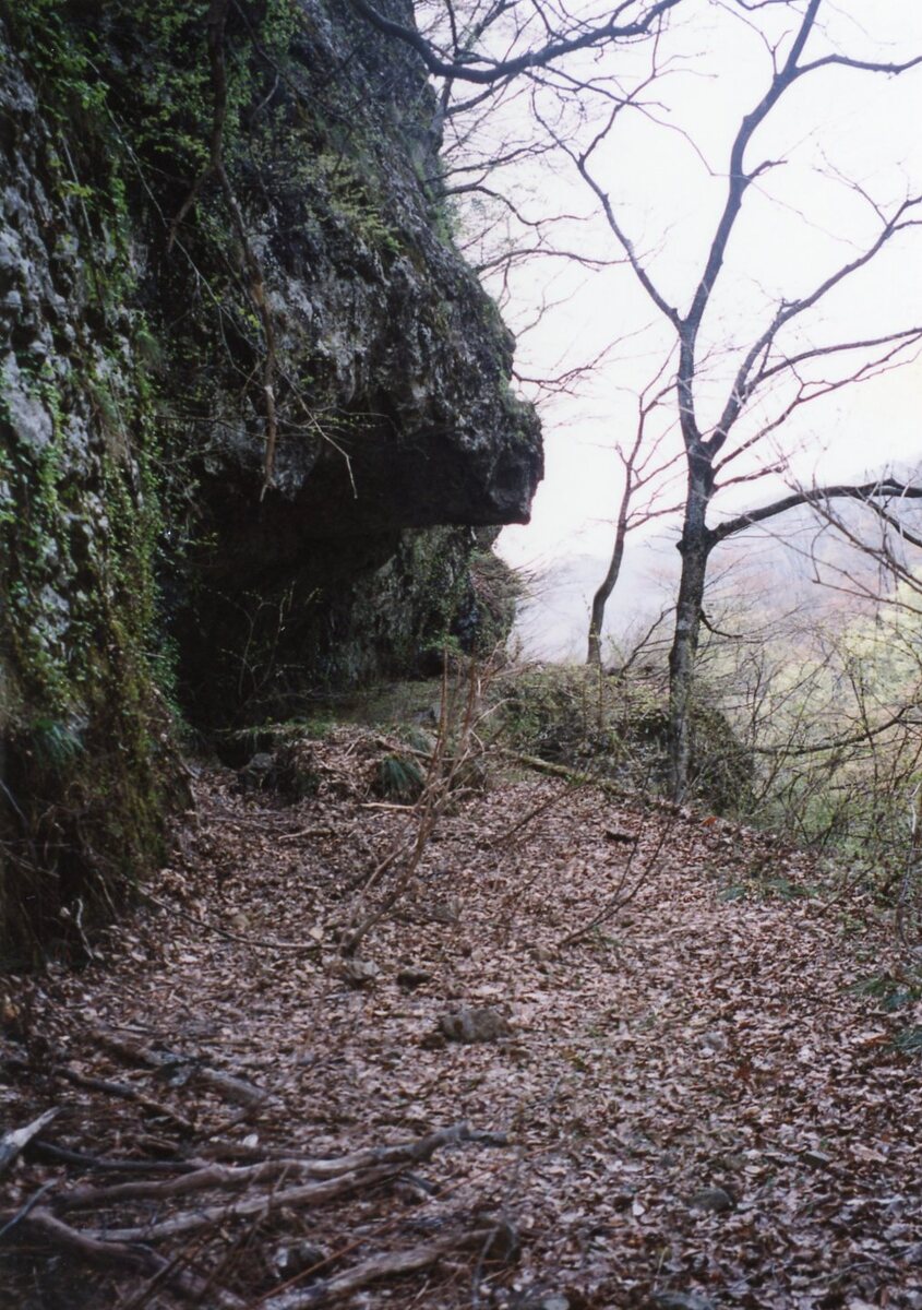 〔写真〕子子見片洞門/三島県令道路改修記念画帖　其之三　西置賜郡小国新道ノ内沼沢村字束子松峠半隧道ノ図