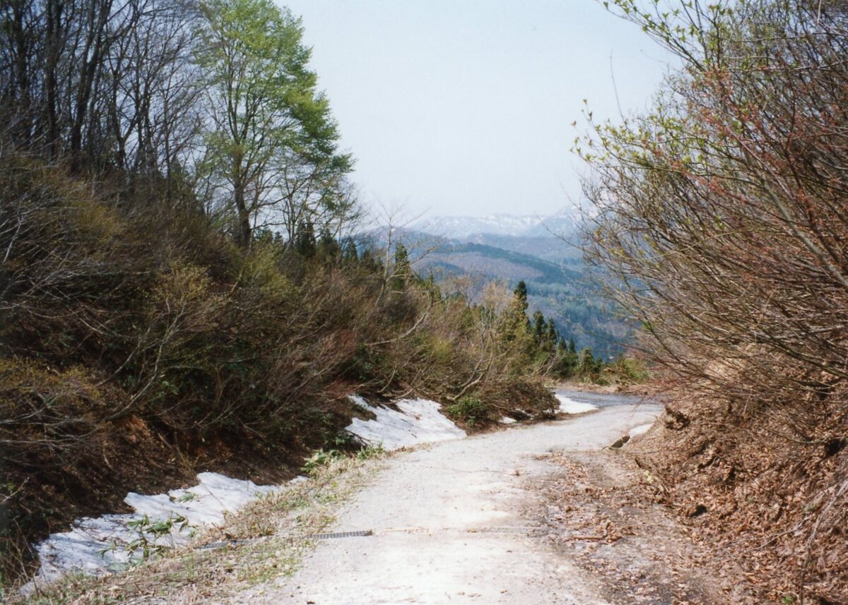 〔写真〕小国側から宇津峠への新道/三島県令道路改修記念画帖　其之三　西置賜郡小国新道ノ内手ノ子村字宇津峠新道ノ図