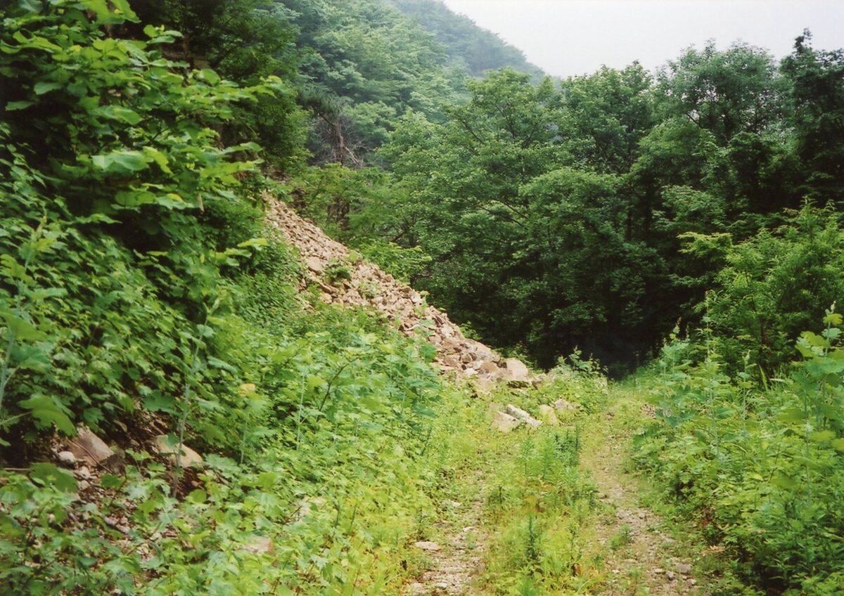 〔写真〕旧関山トンネル山形側坑口への旧道/三島県令道路改修記念画帖　其之三　北村山郡関山村ヨリ宮城県下黒川郡作並村ニ通スル隧道西口ノ図