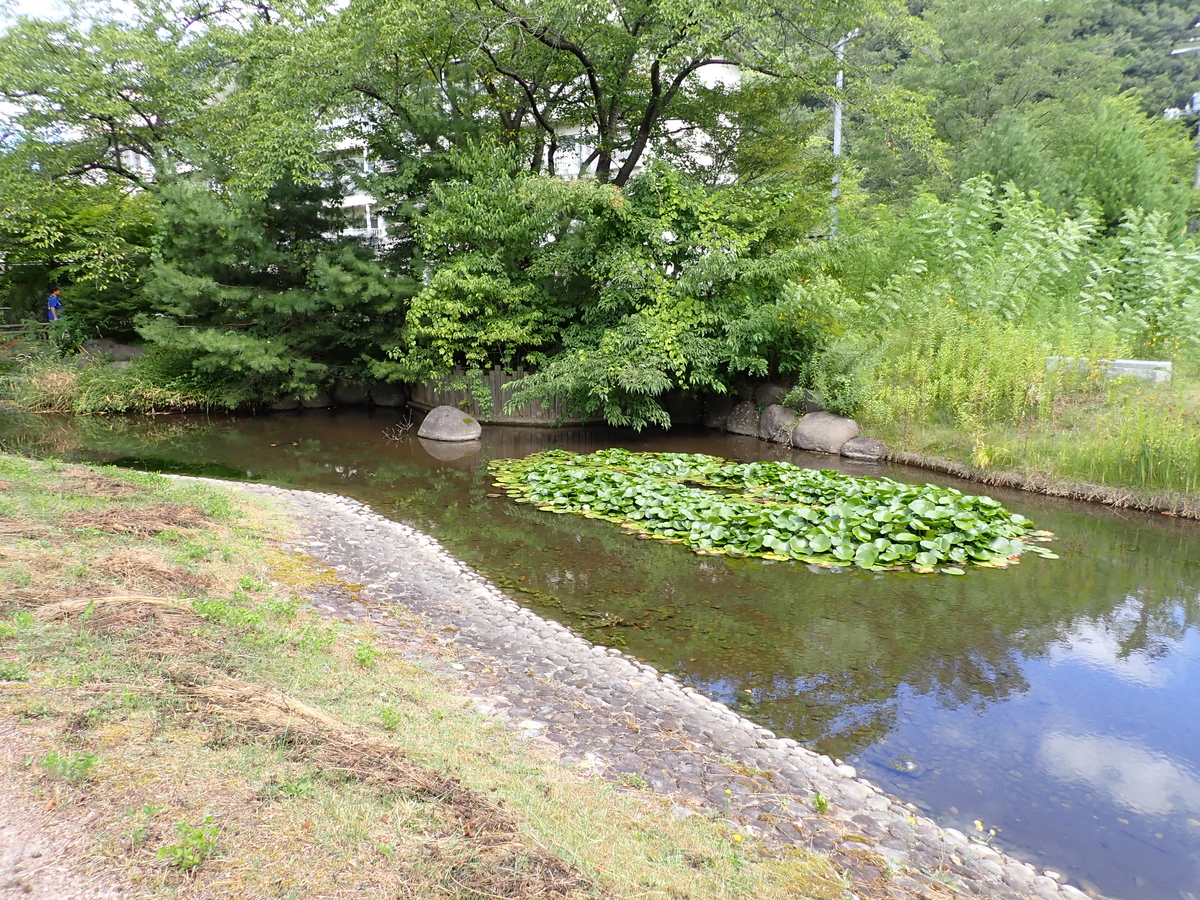 〔山形五堰写真〕御殿・八ヶ郷堰親水広場