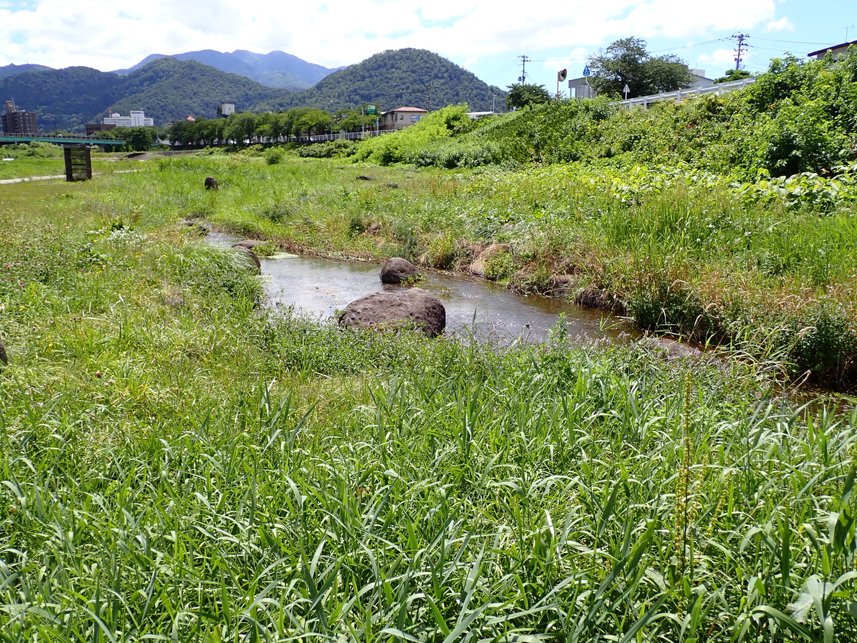 〔山形五堰写真〕宮町堰旧取水口