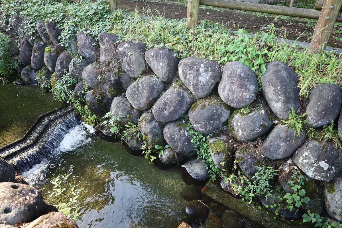 〔山形五堰写真〕山形大学